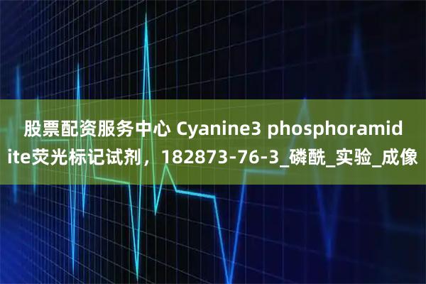 股票配资服务中心 Cyanine3 phosphoramidite荧光标记试剂，182873-76-3_磷酰_实验_成像