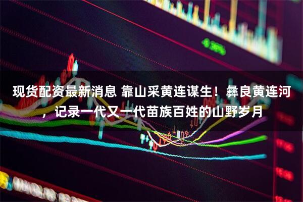 现货配资最新消息 靠山采黄连谋生！彝良黄连河，记录一代又一代苗族百姓的山野岁月